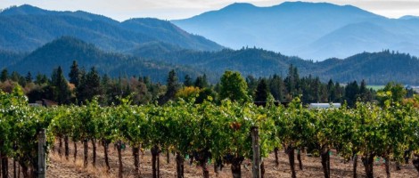 Wine Making - Oregon Winemaker Tours