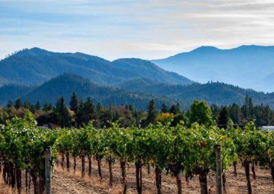 Oregon Wine Country
